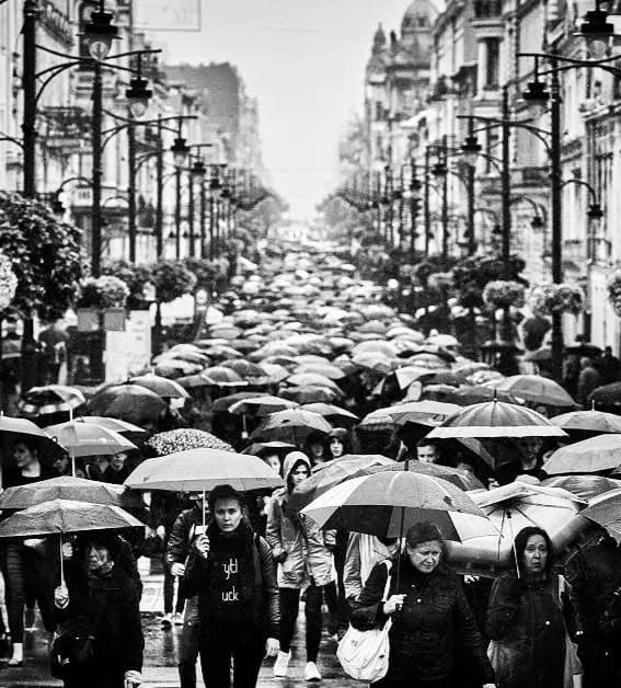 Marchers filling Piotrkowska Street under umbrellas during the 2016 Black Protest in &Lstrok;&oacute;d&zacute;